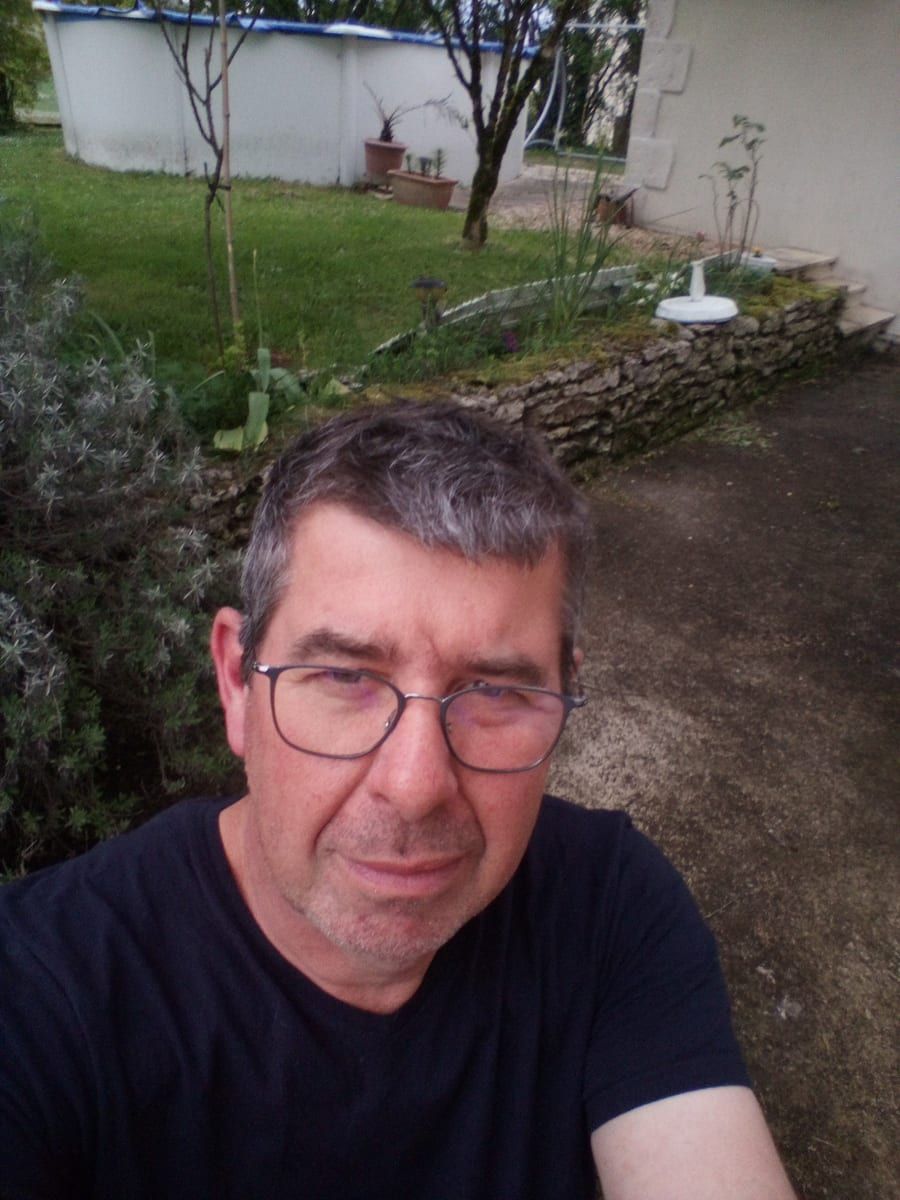 Profil de Levis